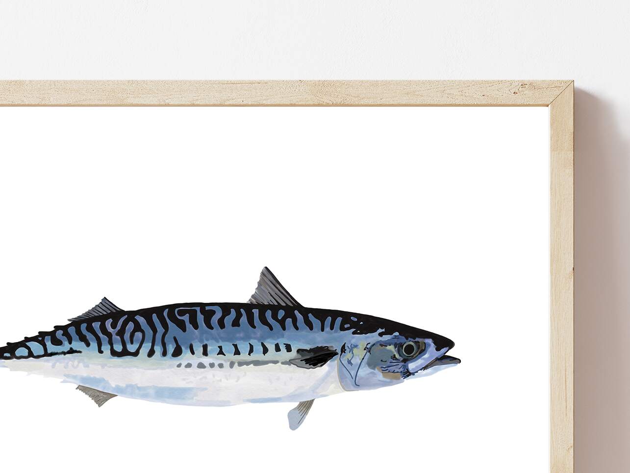 Large limited edition print of a Mackerel fish
