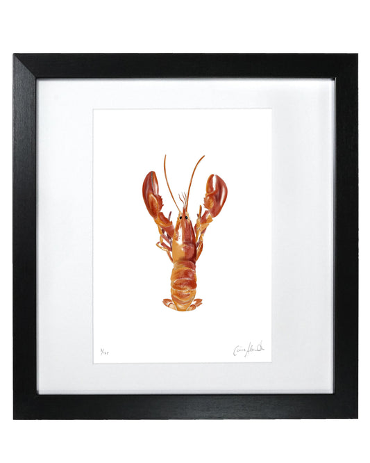 Lobster Print - Coastal Wall Art, British Made