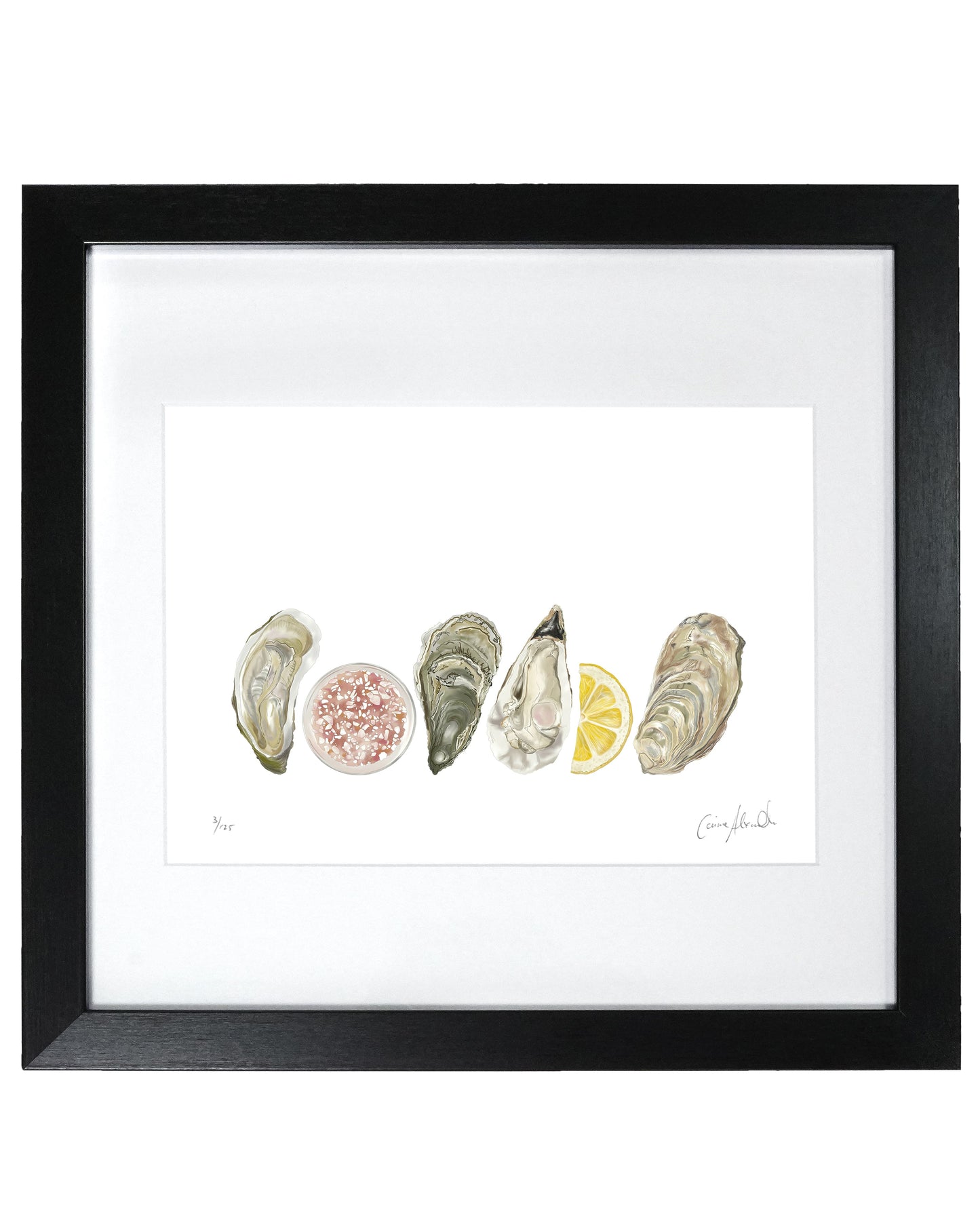 Oyster Print