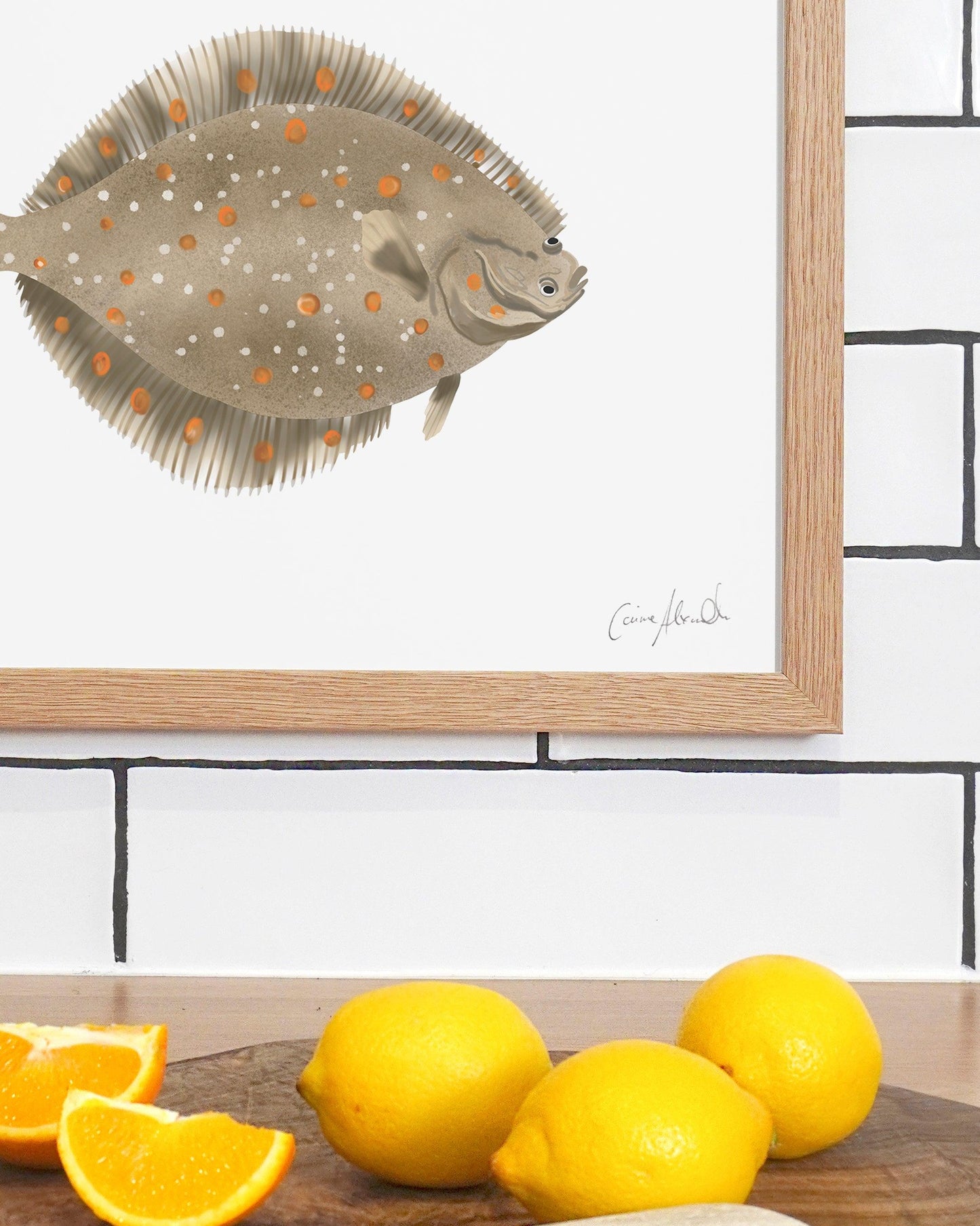 Plaice | Large Scale Print | A3