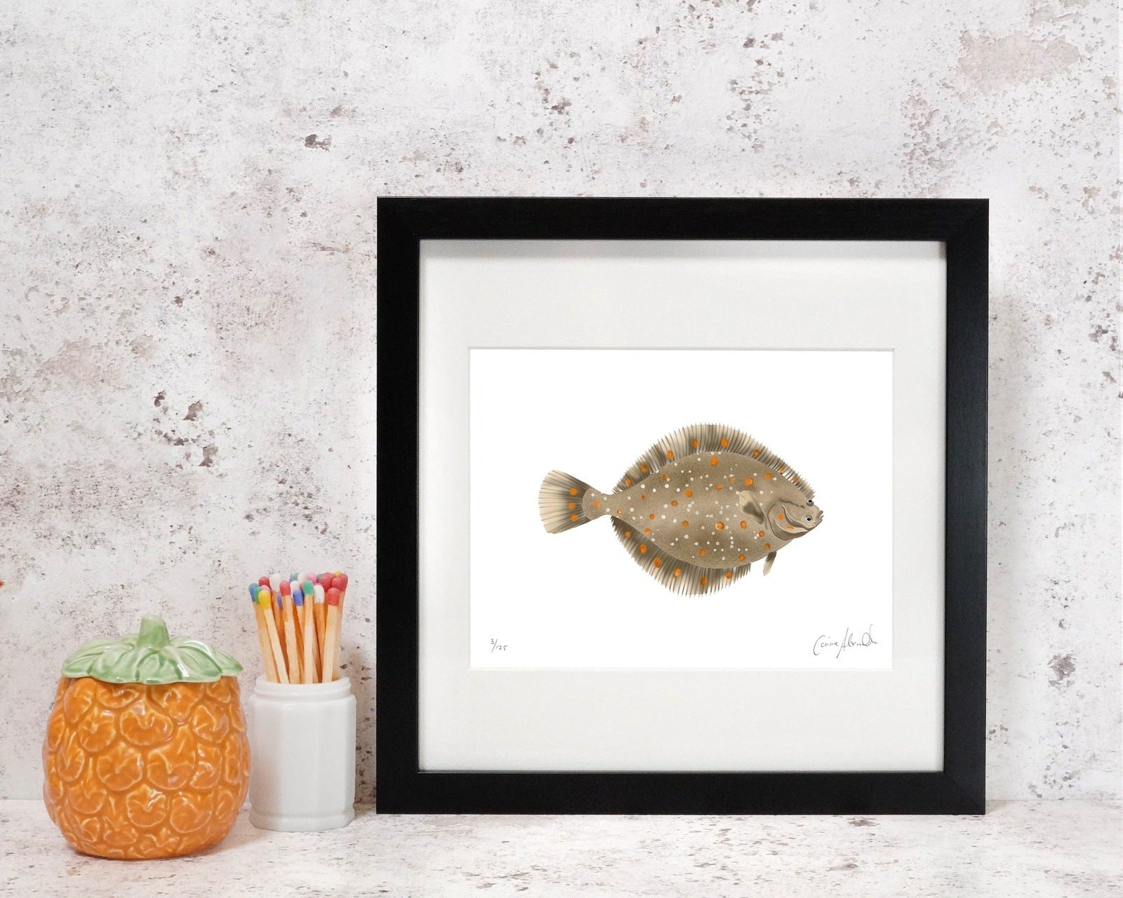 Plaice fish art print