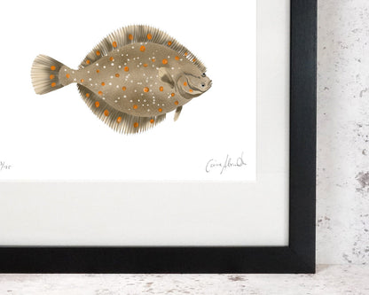 Flat fish plaice art print