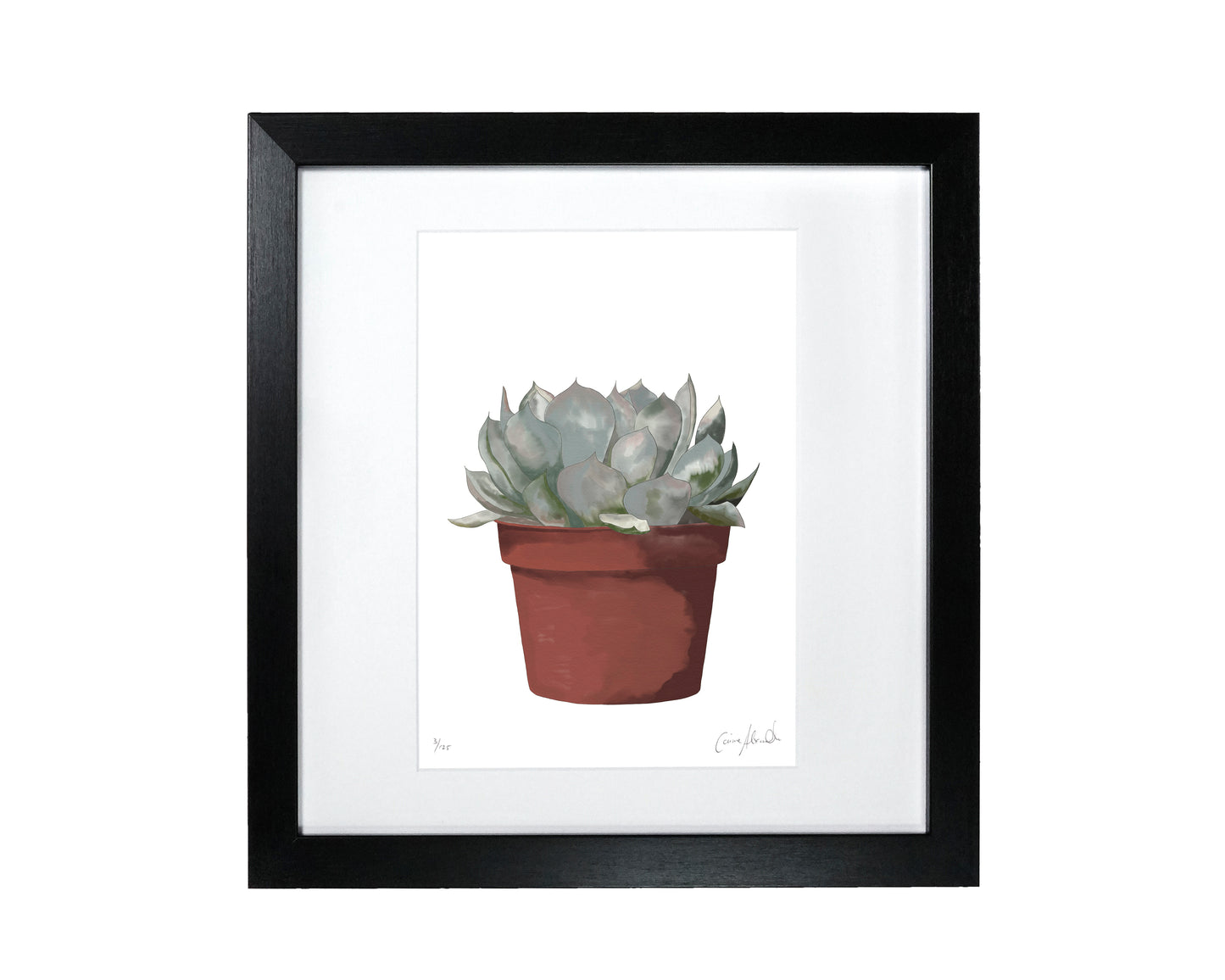 Plant Print - END OF LINE