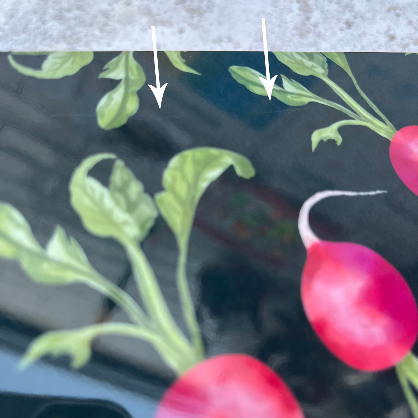 Radish Placemats - SECOND