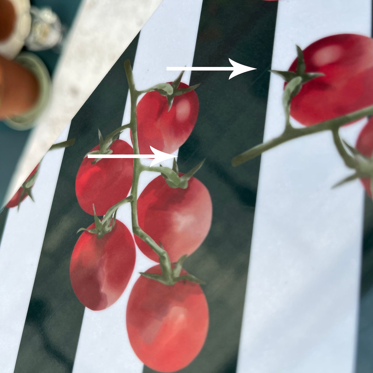 Striped Tomato Placemats - SECOND