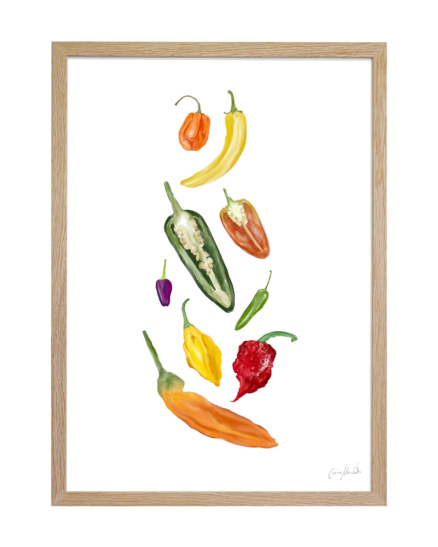 Chilli Print - Kitchen Wall Art, British Made