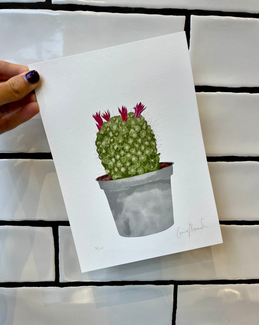 Plant Print - END OF LINE