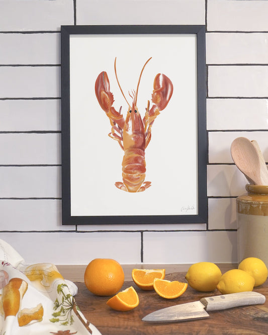 Lobster | Large Scale Print | A3