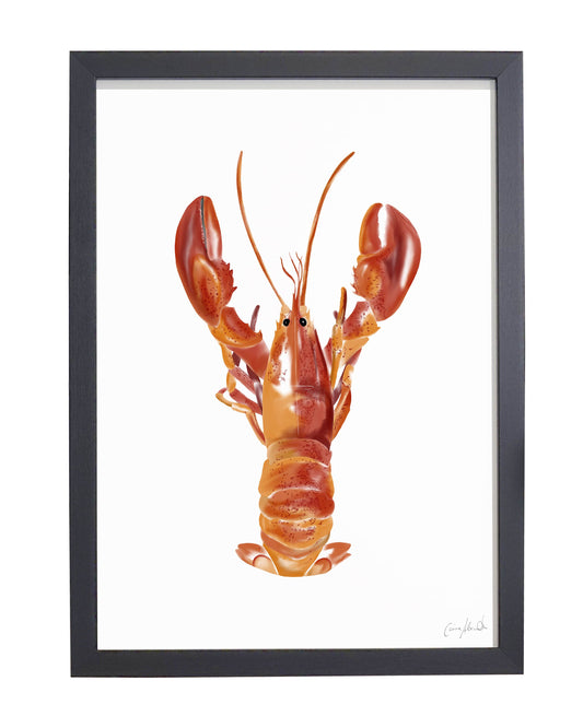 Lobster Print - Coastal Wall Art, British Made