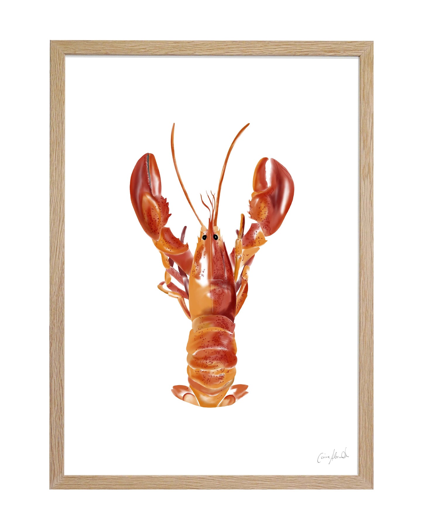Lobster Print - Coastal Wall Art, British Made