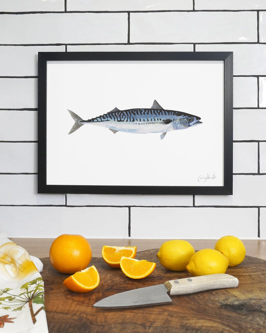 Mackerel | Large Scale Print | A3