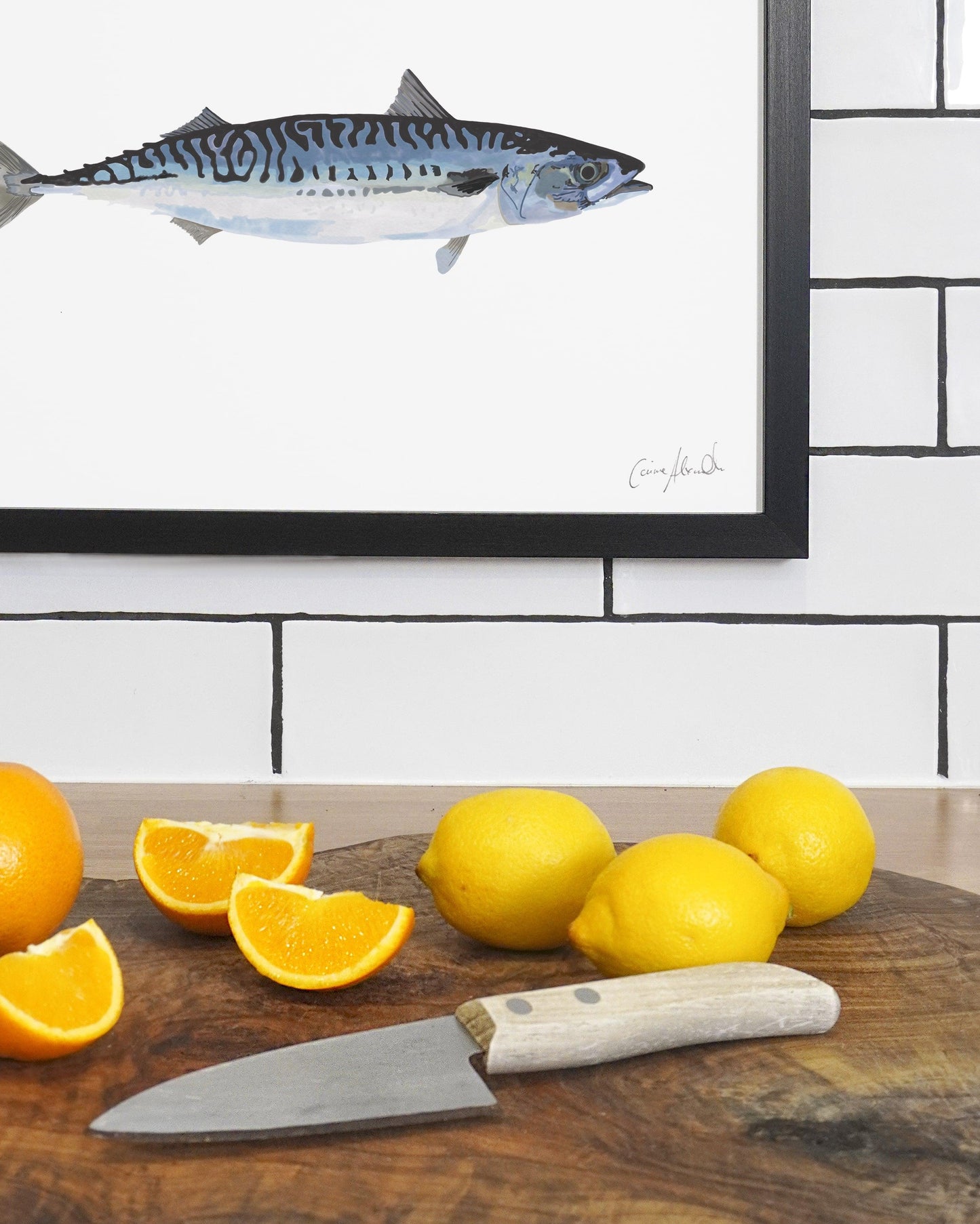 Mackerel | Large Scale Print | A3