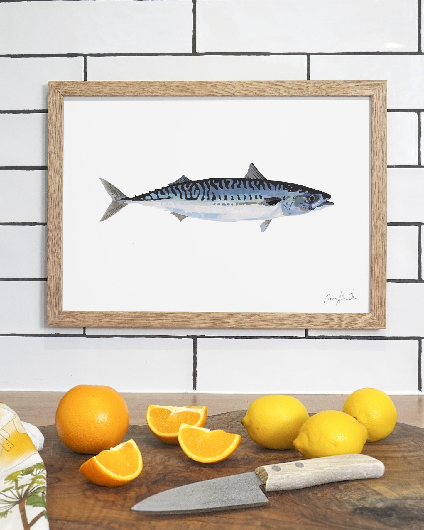 Mackerel | Large Scale Print | A3