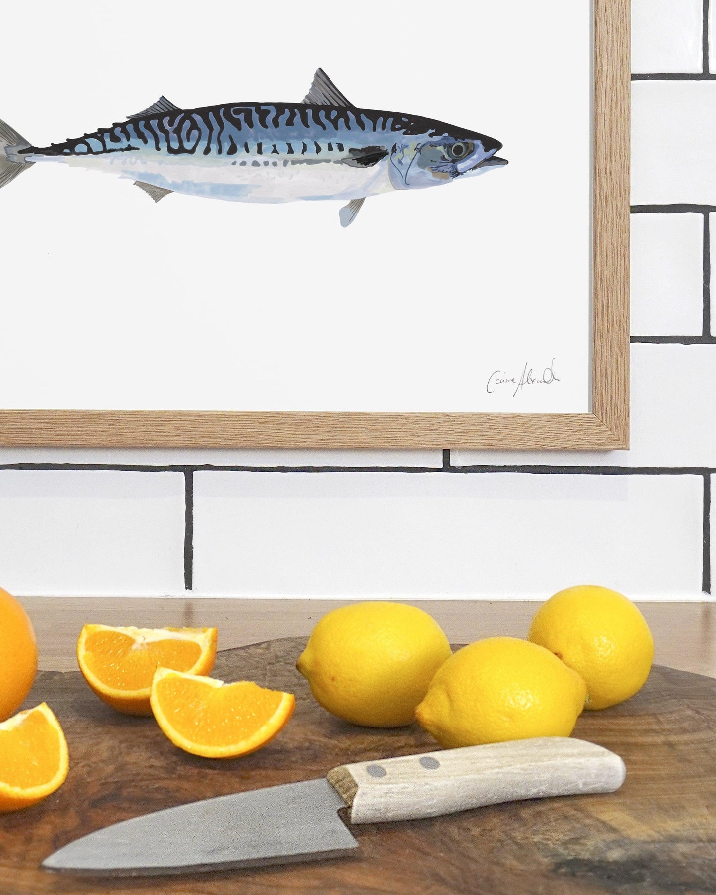 Mackerel | Large Scale Print | A3