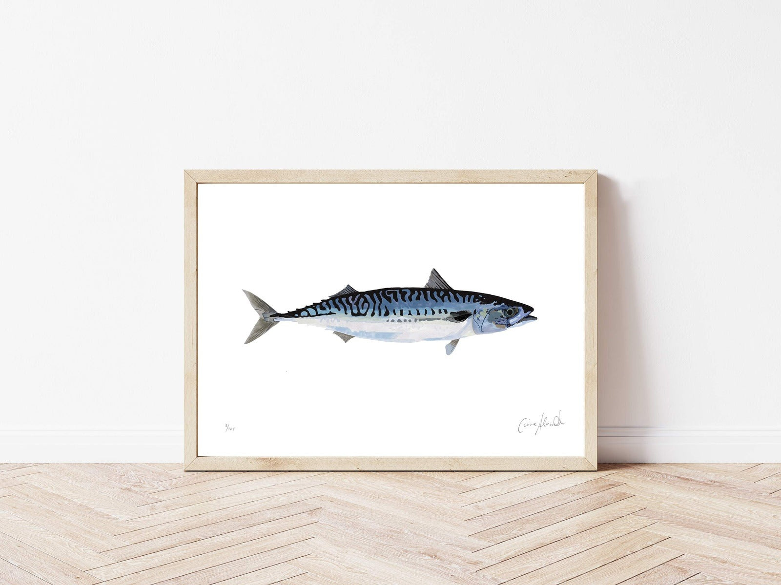 Large art print of a Mackerel fish