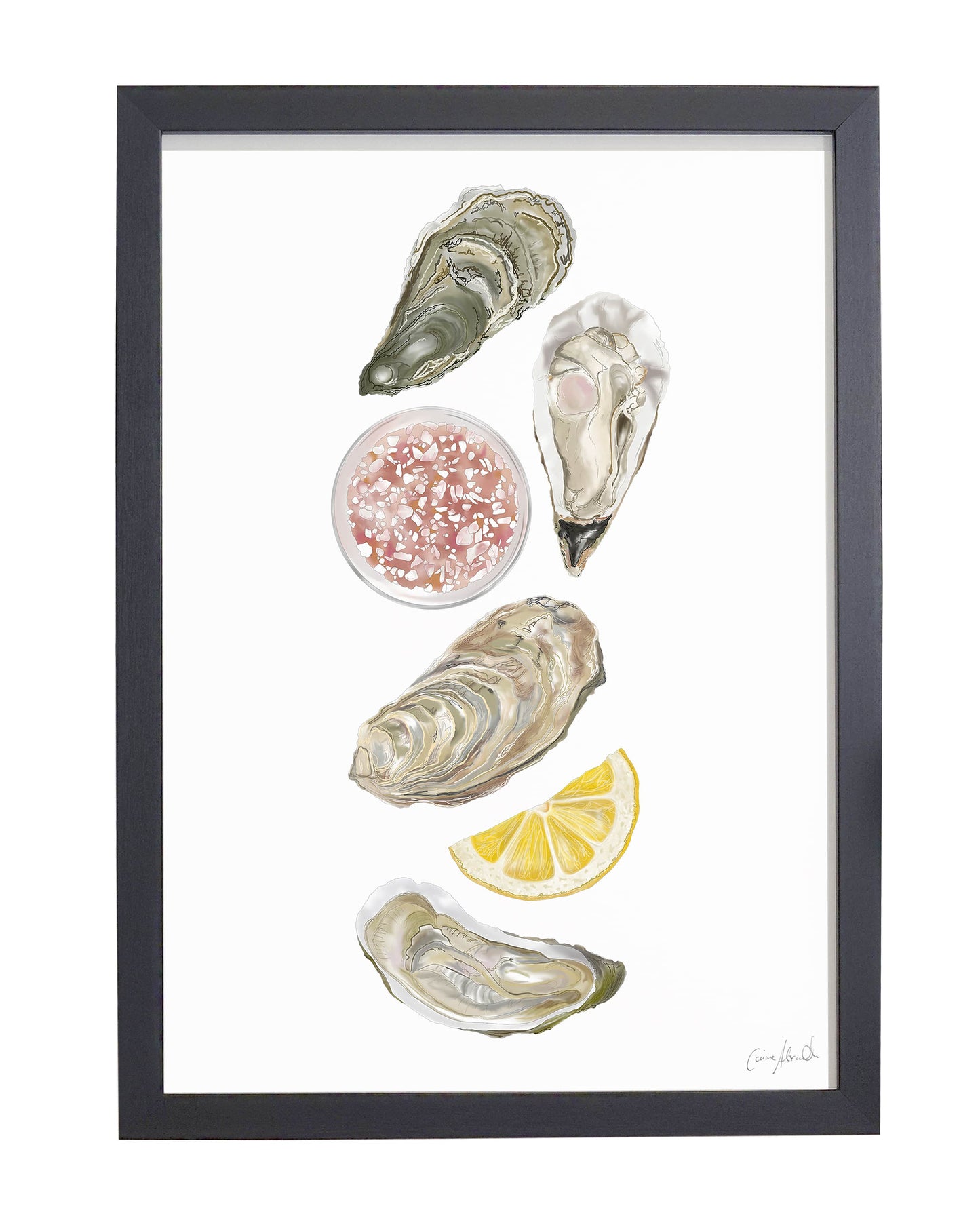 Oyster Print - Coastal Wall Art, British Made