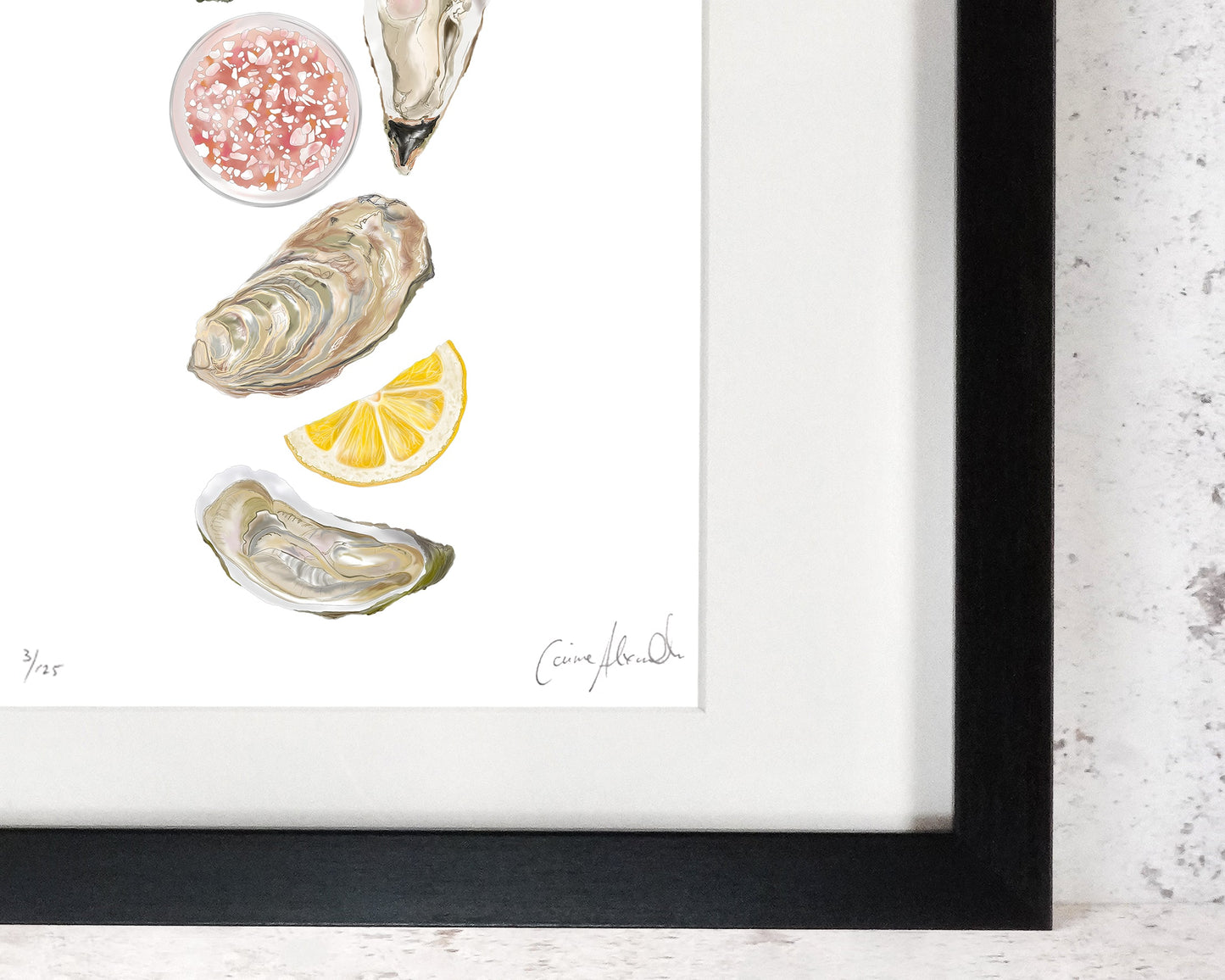 Oyster Print