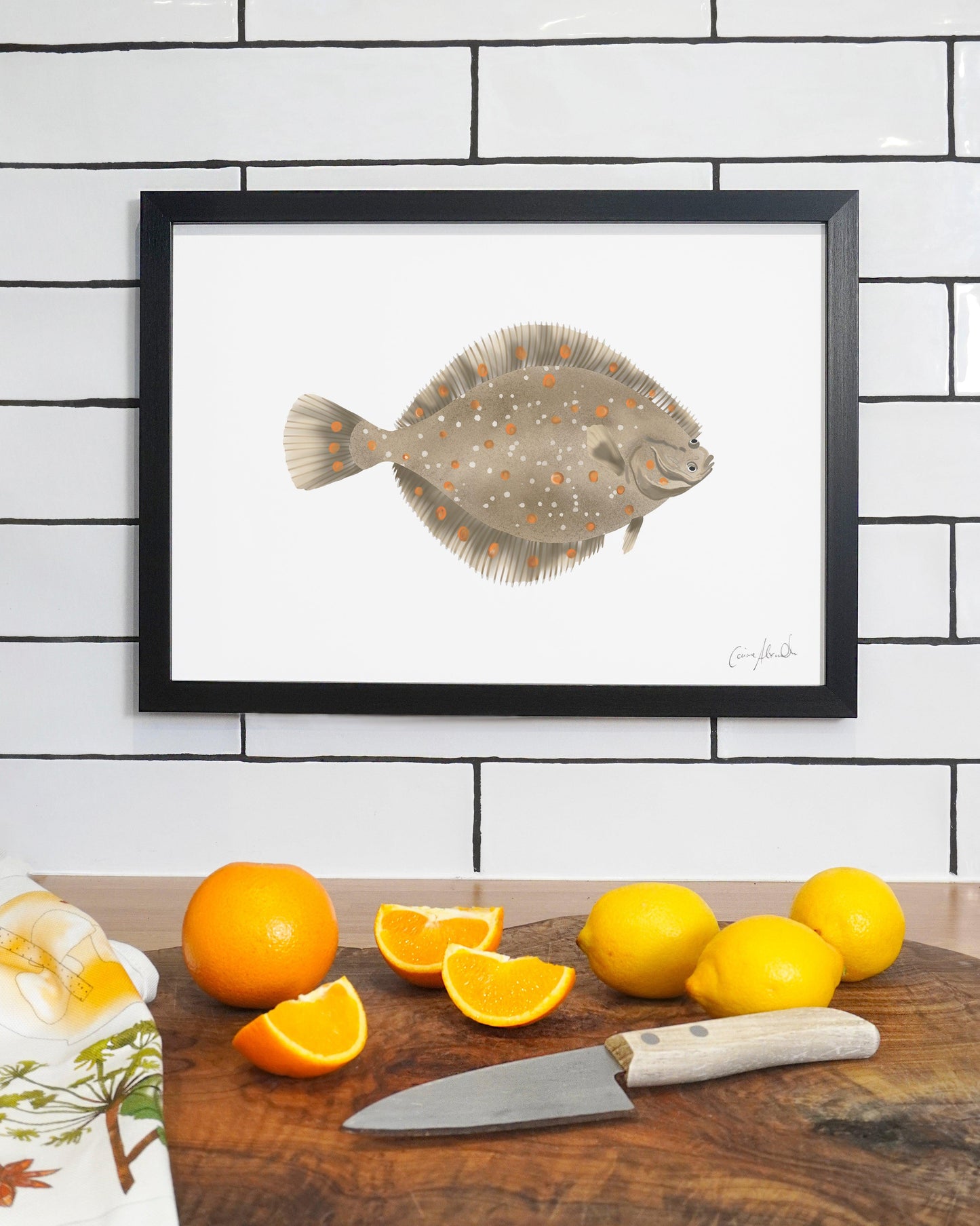Plaice | Large Scale Print | A3
