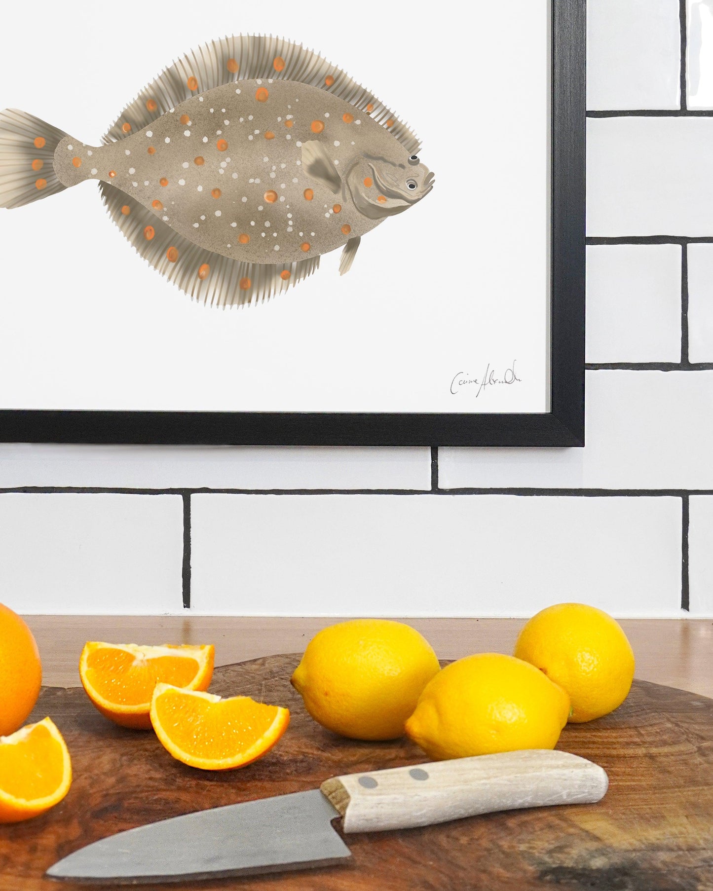 Plaice | Large Scale Print | A3