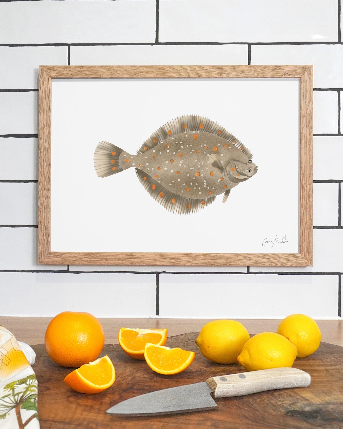 Plaice | Large Scale Print | A3