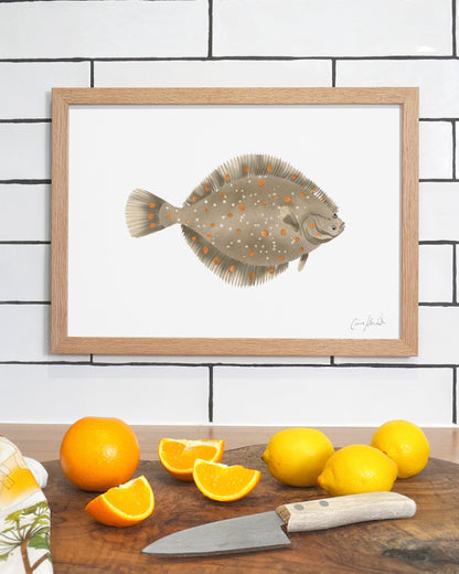 Plaice | Large Scale Print | A3
