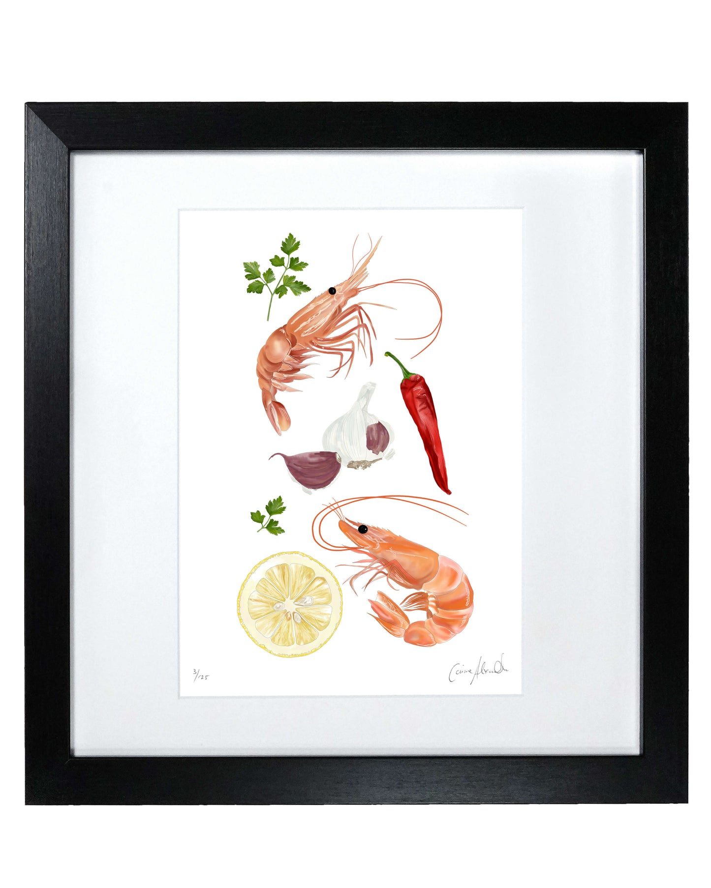 Prawn Print | Limited-Edition Giclée Seafood Art