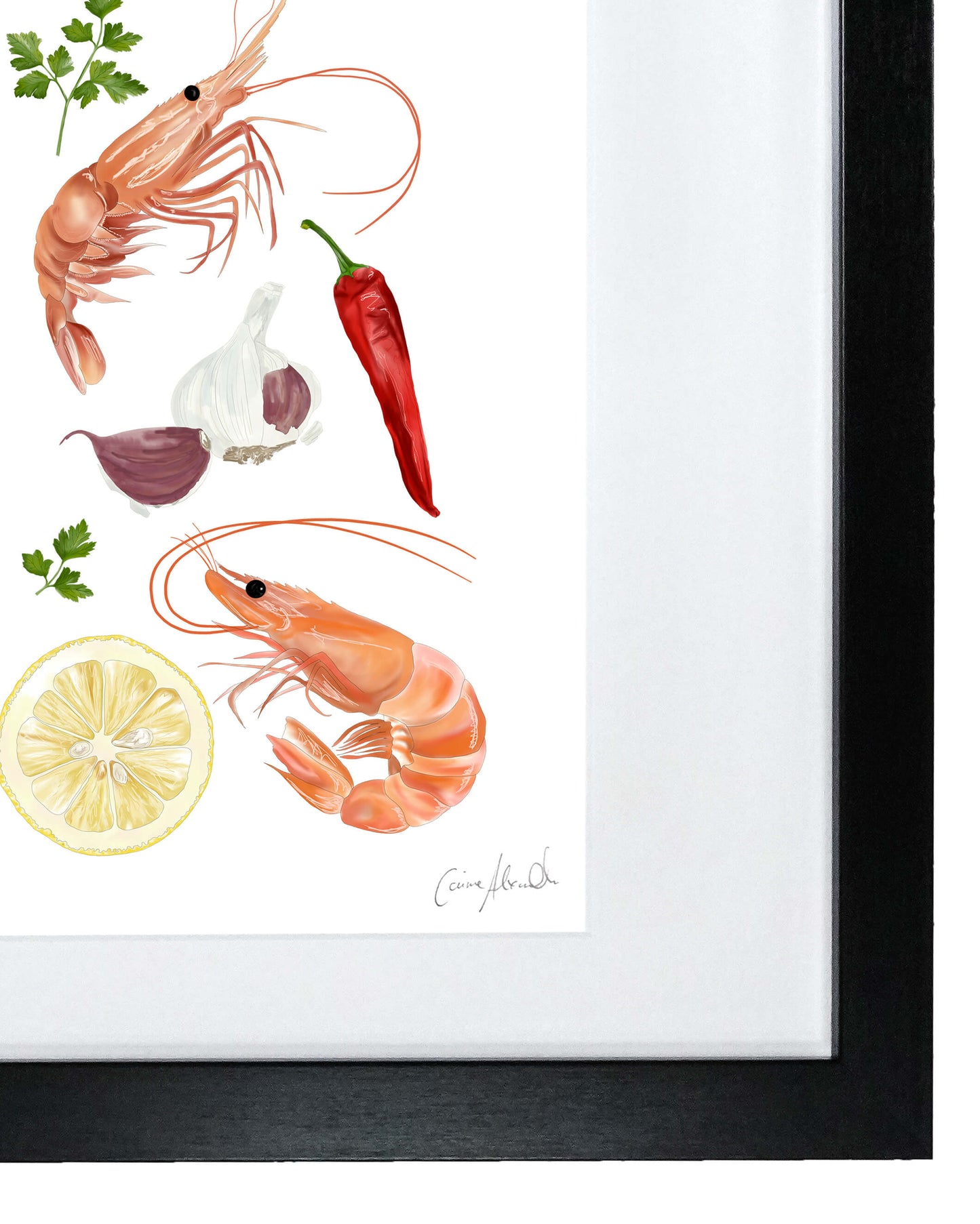 Prawn Print | Limited-Edition Giclée Seafood Art