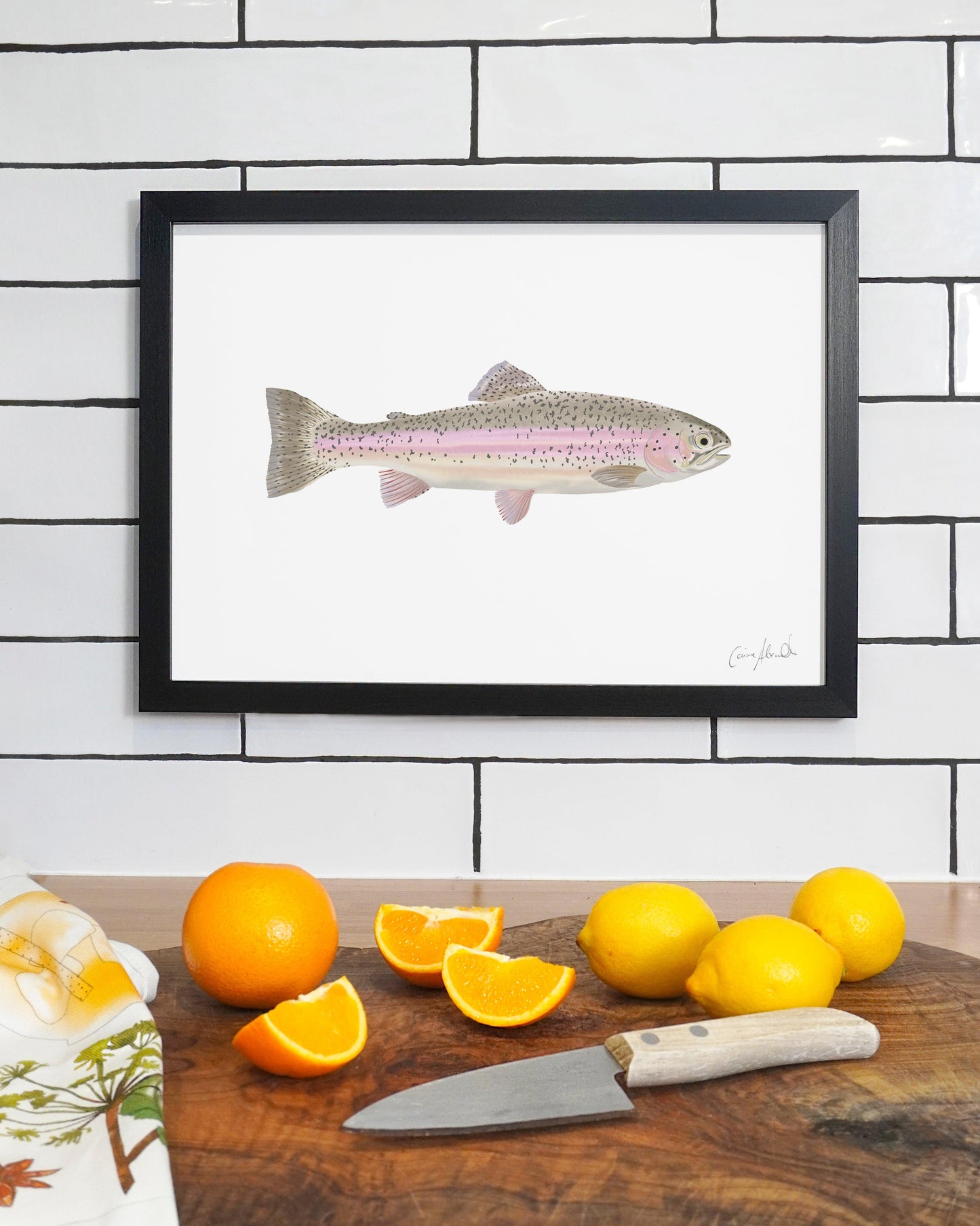 Rainbow Trout | Large Scale Print | A3