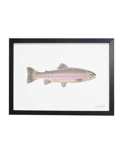Rainbow Trout | Large Scale Print | A3