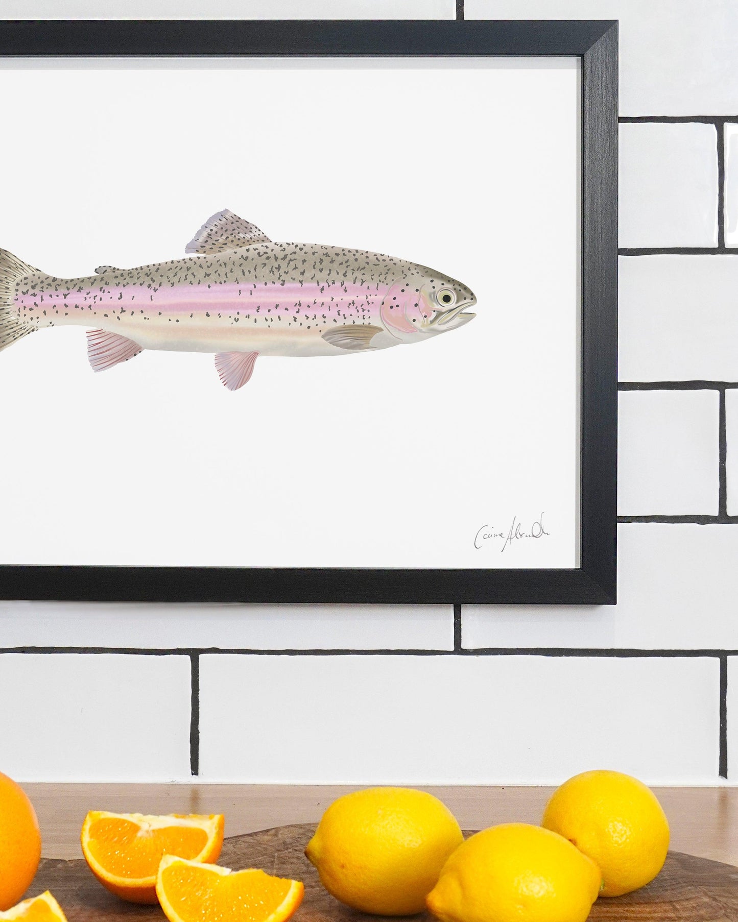 Rainbow Trout | Large Scale Print | A3