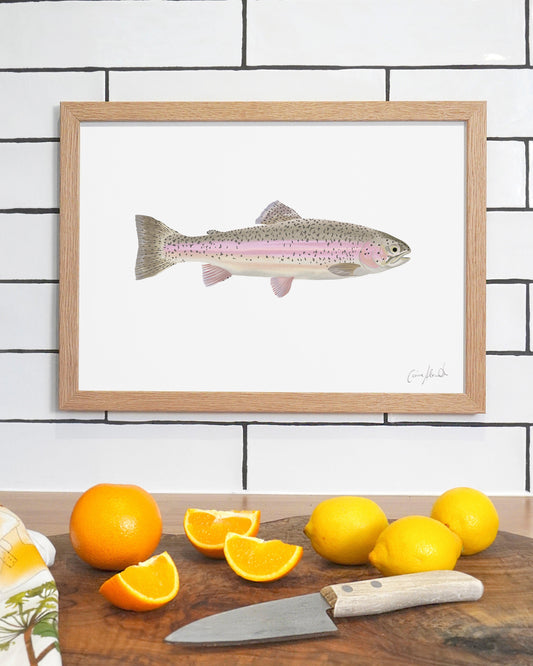 Rainbow Trout | Large Scale Print | A3