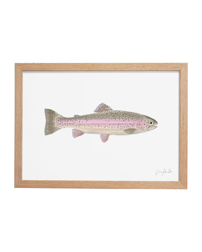 Rainbow Trout | Large Scale Print | A3