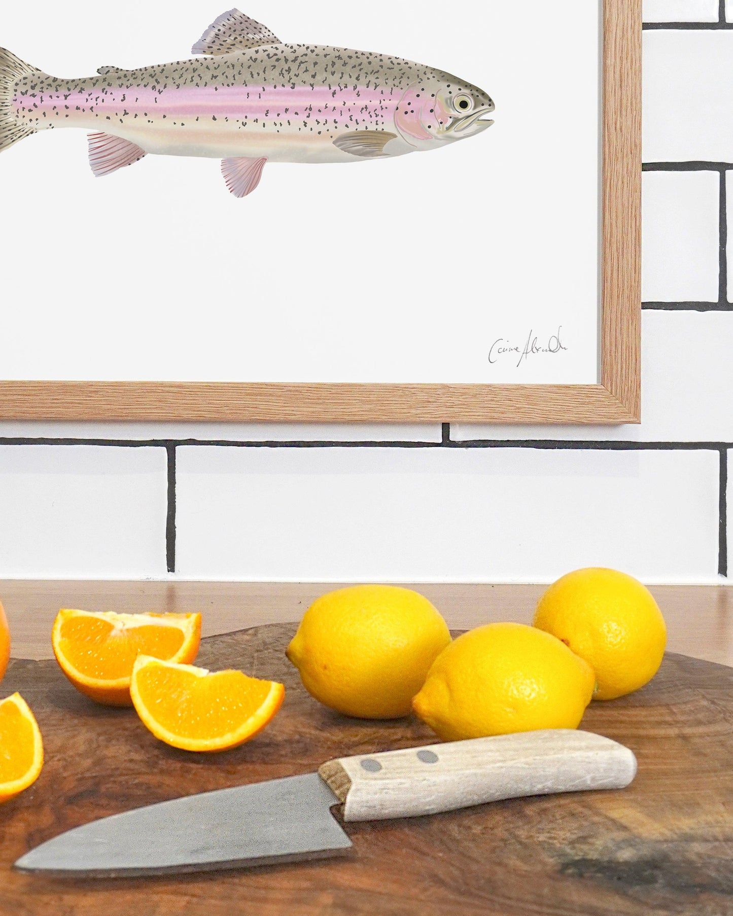 Rainbow Trout | Large Scale Print | A3