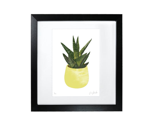 Plant Print - END OF LINE