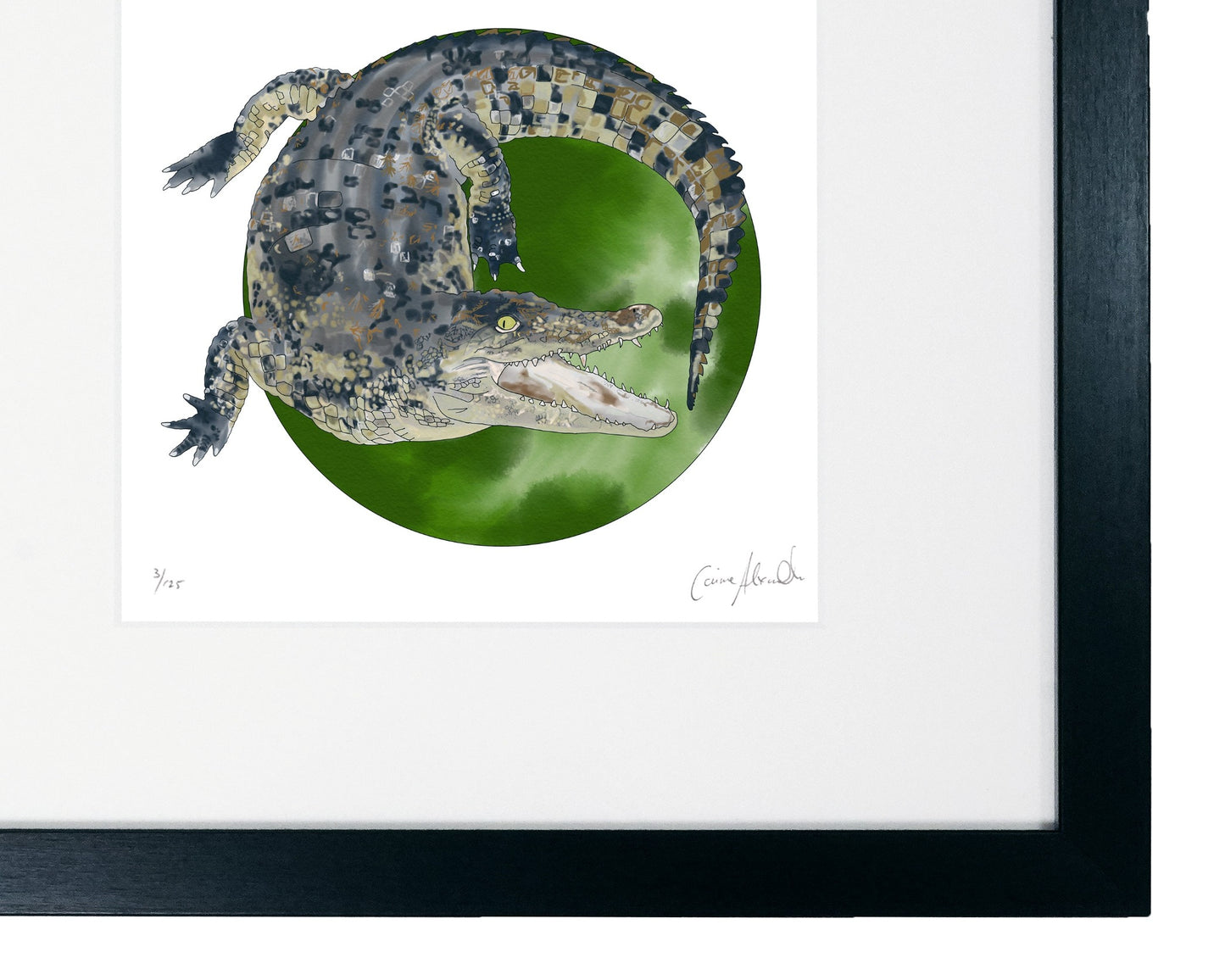 Crocodile art print