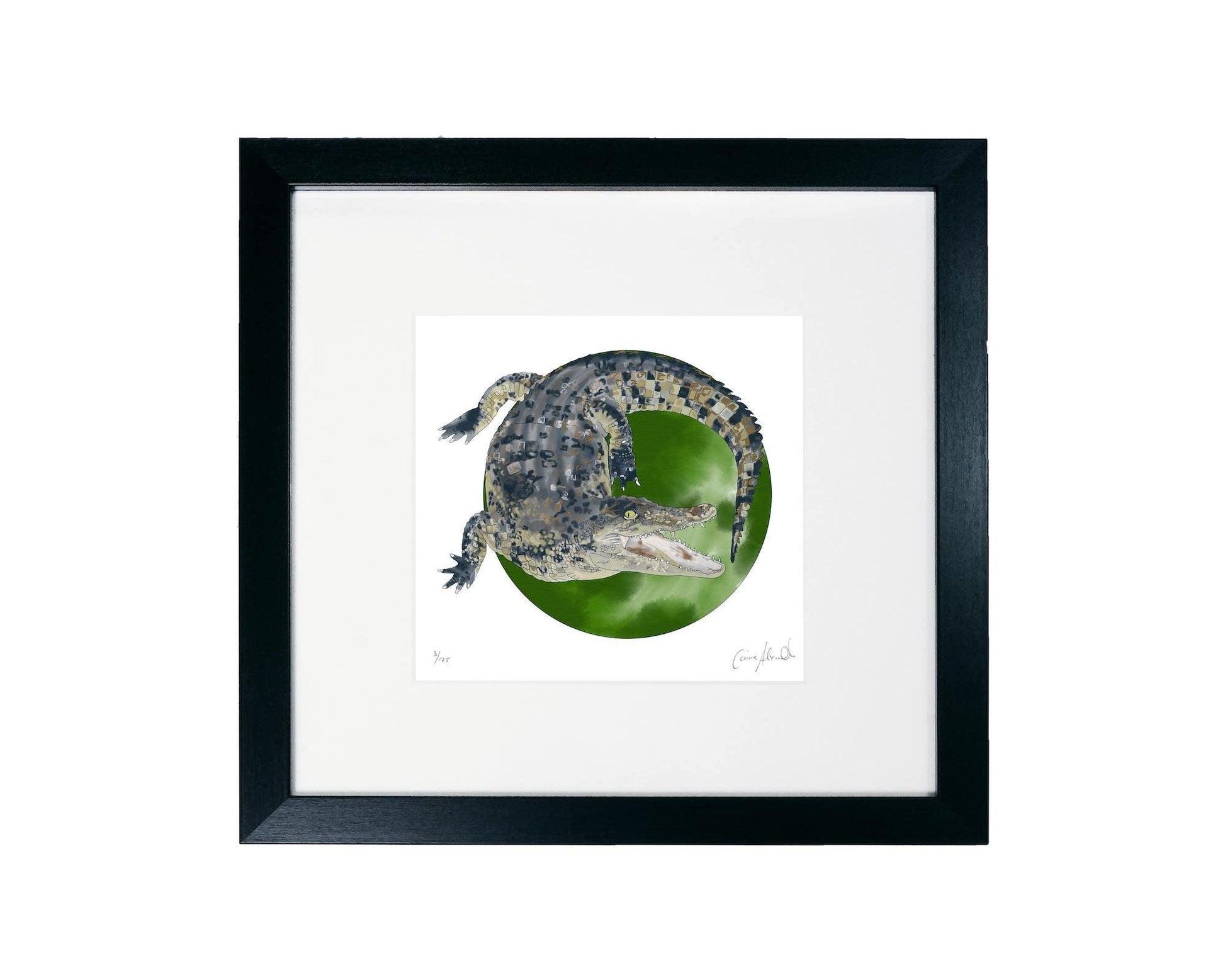 Crocodile art print
