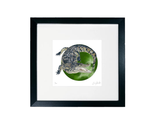 Crocodile art print