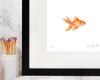 Goldfish art print