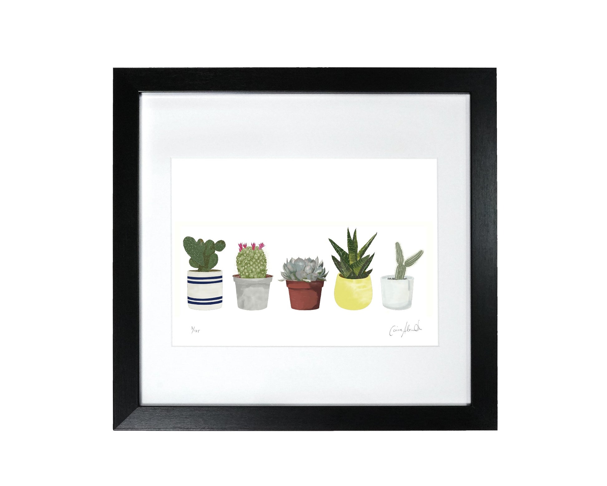 Framed House Plant Art Print