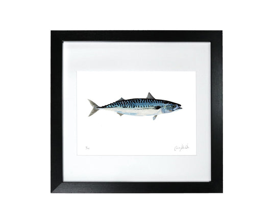 Mackerel fish art print