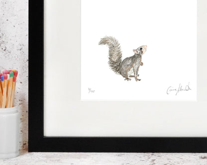 Squirrel art print